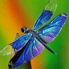 Blue Dragonfly Diamond Painting