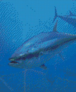 Blue Fin Tuna Fish Diamond Painting