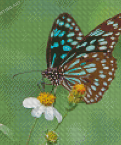 Blue Tiger Butterfly Diamond Painting