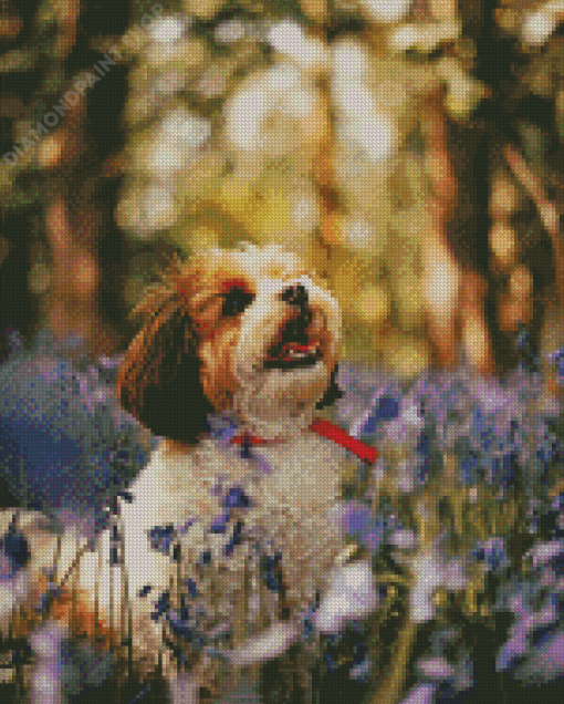 Cavachon And Flowers Diamond Painting