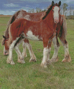 Clydesdales In Farm Diamond Painting