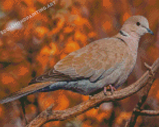 Gray Dove Bird Diamond Painting