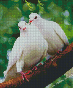 Love Dove Pigeon Diamond Painting