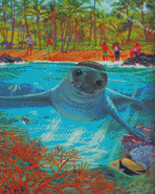 Monk Seal Animal Diamond Painting