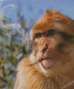 Monkey Animal Smoking Diamond Painting