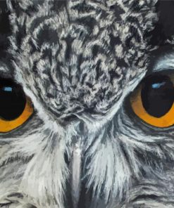 Owl Eyes Diamond Painting