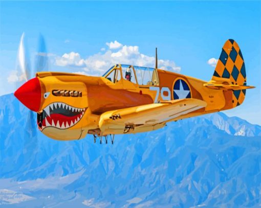 Curtiss P 40 Warhawk Diamond Paintings