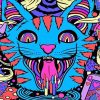 Psychedelic Cat Diamond Painting