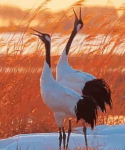 Red Crowned Cranes Birds Diamond Painting
