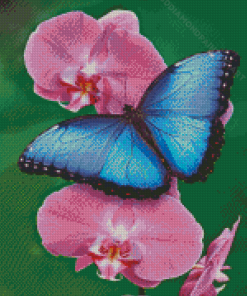 The Pink Orchid And Butterfly Diamond Painting