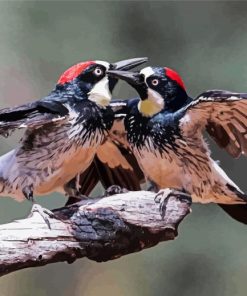 Acorn Woodpecker Birds Couple Diamond Painting