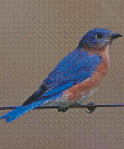 Aesthetic Bluebird On Wire Diamond Painting