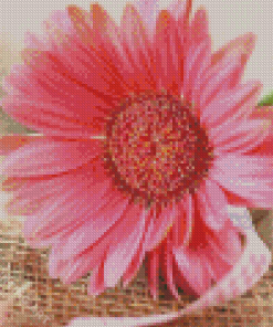 Aesthetic Pink Sunflower Diamond Painting