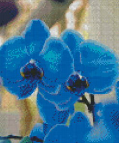 Aesthetic Blue Orchids Diamond Painting