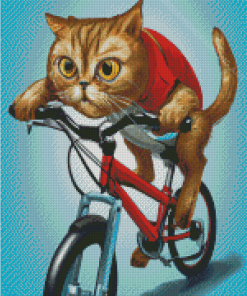 Aesthetic Cat On Bicycle Diamond Painting