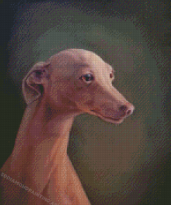 Aesthetic Italian Greyhound Diamond Painting