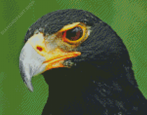 African Black Eagle Diamond Painting