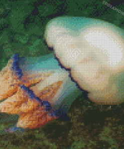 Big Jellyfishes Diamond Painting