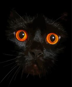 Black Cat And Orange Cat Diamond Painting