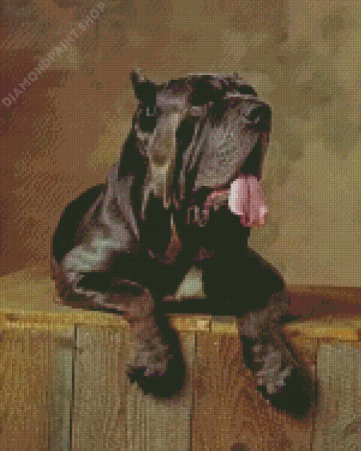 Black Neapolitan Mastiff Diamond Painting