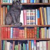 Cats In Bookshelves Diamond Painting