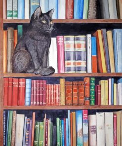 Cats In Bookshelves Diamond Painting