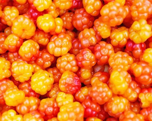 Cloudberries Food Diamond Painting