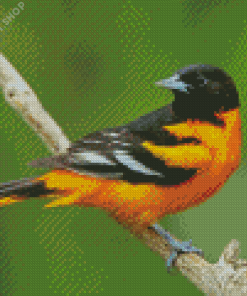 Cool Orioles Bird Diamond Painting