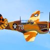 P 40 Warhawk Diamond Paintings