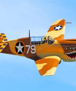 P 40 Warhawk Diamond Paintings