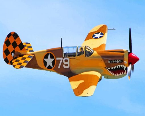 P 40 Warhawk Diamond Paintings