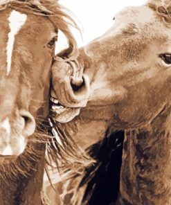 Cute Sable Island Horses Diamond Painting