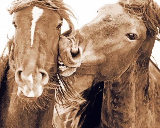 Cute Sable Island Horses Diamond Painting