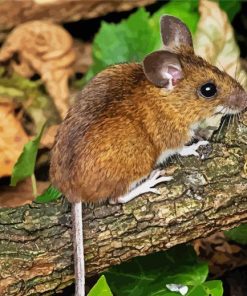 Cute Tree Mouse Diamond Painting