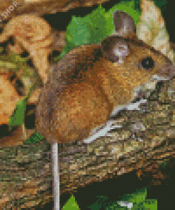 Cute Tree Mouse Diamond Painting