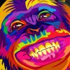 Funny Colorful Monkey Diamond Painting