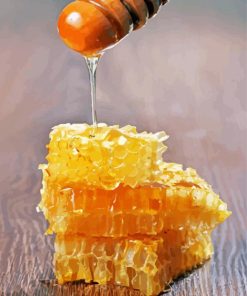 Honey Bee Hive Diamond Painting