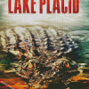 Lake Placid Diamond Painting