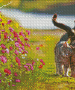 Lovely Cats And Flowers Diamond Painting
