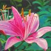 Pink Lily With Water Drops Diamond Painting