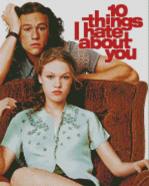 10 Things I Hate About You Film Poster Diamond Painting