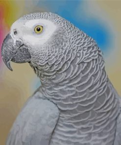 African Parrot Bird Diamond Painting
