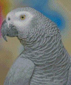 African Parrot Bird Diamond Painting