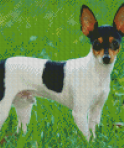 Aesthetic Smooth Fox Terrier Diamond Painting