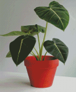 Alocasia Plant Pot Diamond Painting