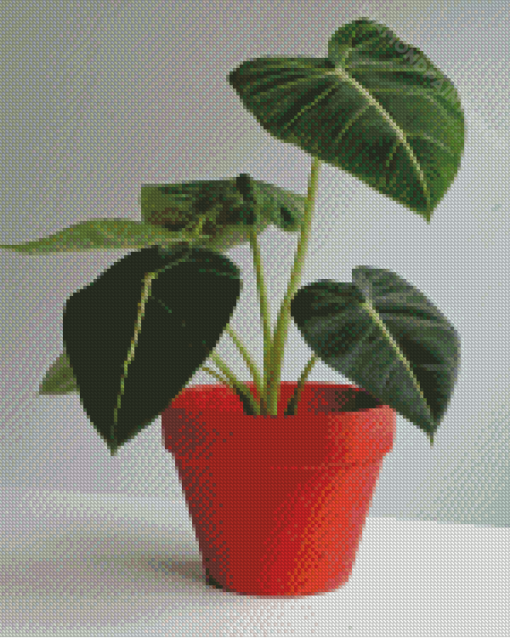 Alocasia Plant Pot Diamond Painting