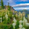 Beargrass Plants Meadow Diamond Painting