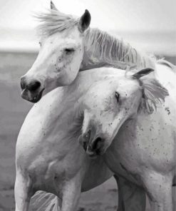 Black And White Two Horses In Love Diamond Painting