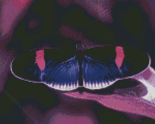 Black And Purple Butterfly Diamond Painting