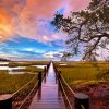 Boardwalk To A Marsh Diamond Painting